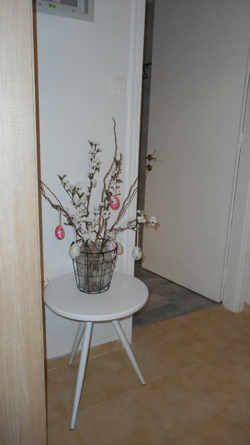 Apartament Elegant And Comfortable In The Center